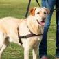 Preview: Trixie Trainingsgeschirr Lead'n'Walk Soft