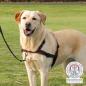 Preview: Trixie Trainingsgeschirr Lead'n'Walk Soft