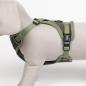 Preview: Duvoplus EXPLOR Ultimate Fit No-Pull-Geschirr
