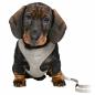 Preview: Trixie Junior Welpen-Softgeschirr mit Leine