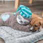 Preview: Trixie Junior Faultier mit Herzschlag