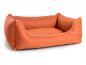 Preview: Orange