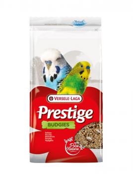 Prestige Wellensittich