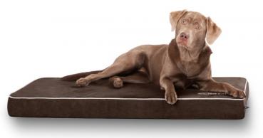 Knuffelwuff Hundematte Maui aus Velours mit 9cm Schaumstoff