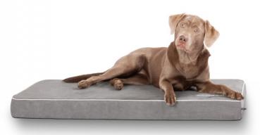 Knuffelwuff Hundematte Maui aus Velours mit 9cm Schaumstoff