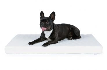 Hundematte mypado Nuvola aus Kunstleder gesteppt