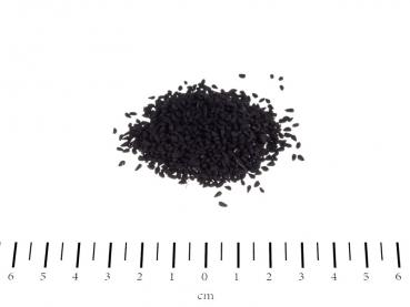 Canina Schwarzkümmelsamen