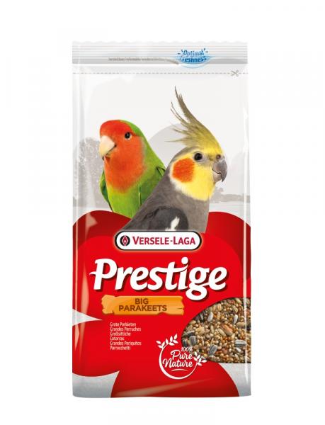 Prestige Großsittiche