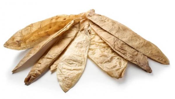 Kälber-Blasen, ganz