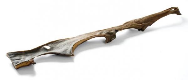 Kamel-Kopfhautstange ca. 75 cm