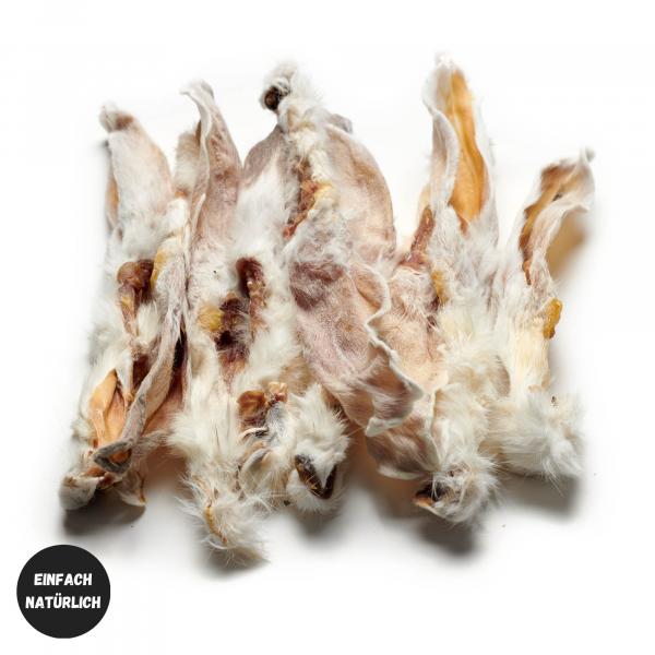 Kaninchen-Ohren mit Fell