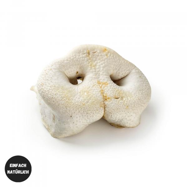 Schweine-Nasen, weiß