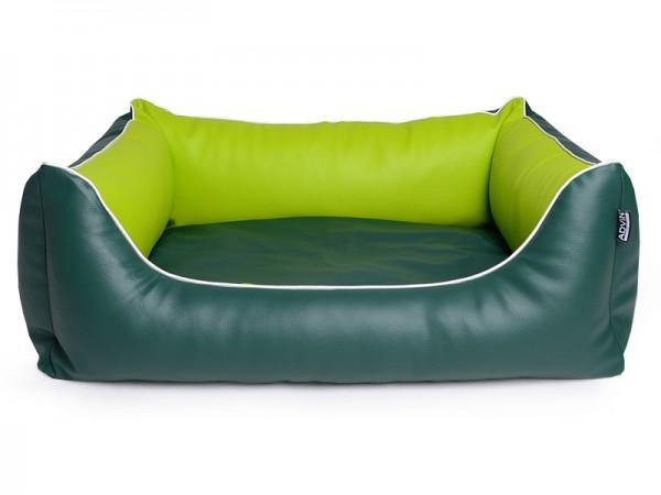 Kiwi/Grün