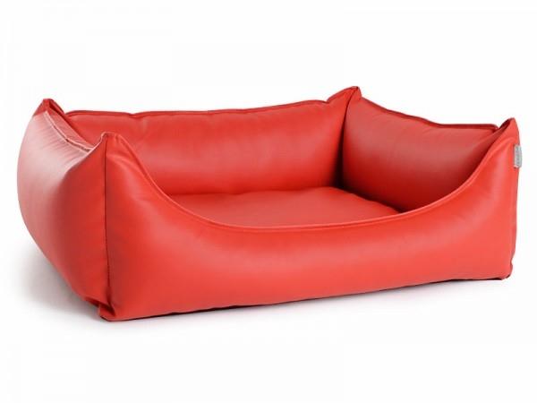 Rot